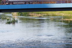 P1230362
