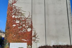 20201101_132621