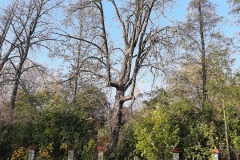 20201101_133540