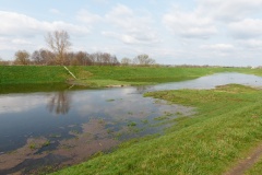 P1230964