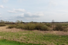 P1230988
