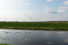 P1230989