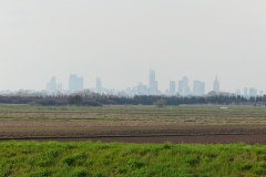 P1230995
