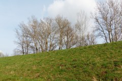 P1240059