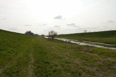 P1240061