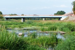 P1260802
