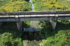 DCIM128MEDIADJI_0139.JPG