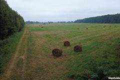 2025.08.31 Łąki oborskie