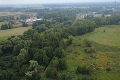 DCIM128MEDIADJI_0233.JPG