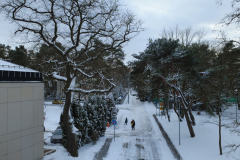 DCIM128MEDIADJI_0841.JPG
