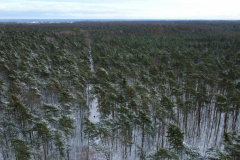 DCIM128MEDIADJI_0847.JPG
