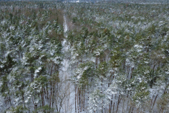 DCIM128MEDIADJI_0849.JPG