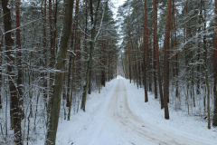 DCIM128MEDIADJI_0851.JPG