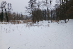20260125_143221
