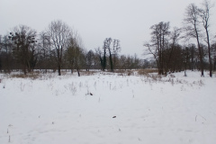 20260125_143226