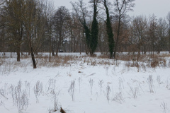 20260125_143232