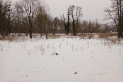 20260125_143247