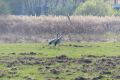 P1270676