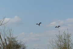 P1270685