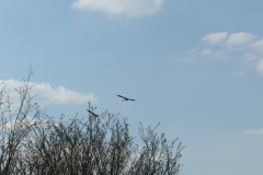 P1270687