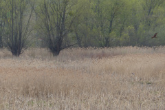 P1270729