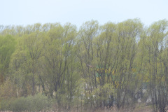 P1270734