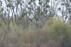 P1270749