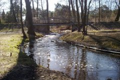 20120303971