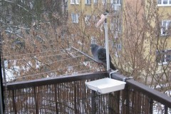 IMG_0057