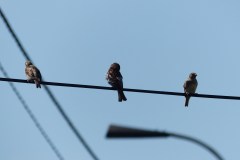 P1200537